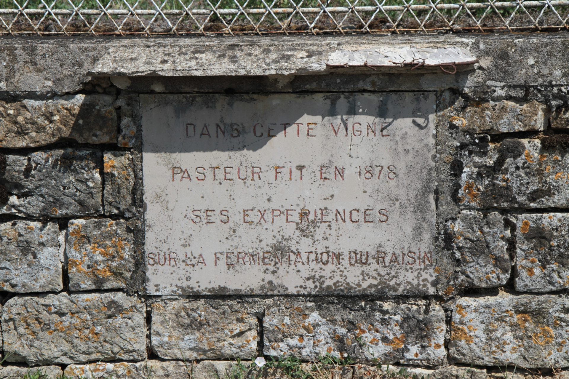 Louis Pasteur historic vineyard, Montigny-les-Arsures - 04.JPG